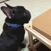 じゅん