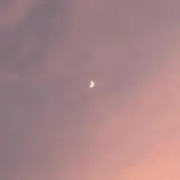 mipopoの画像