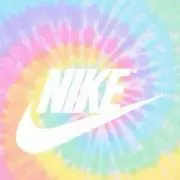 賀茂なんの画像