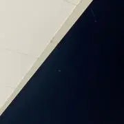 キキの画像