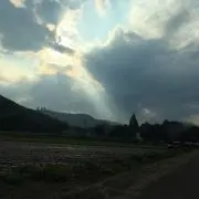 ゆうき