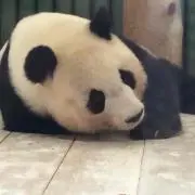 やまちゃん