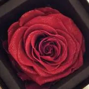 アプローズ♡の画像