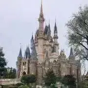 みるく※プロフご確認お願い致します※