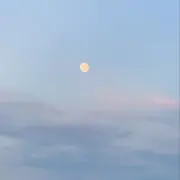 りぃの画像