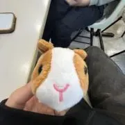 t.d@即購入可の画像