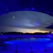 しばの画像