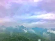 しょこの広場の画像