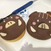 ポケモンセンター沖縄限定ウィンディポンチョを着たイーブイぬいぐるみ