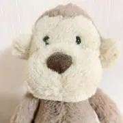 Cocoの画像