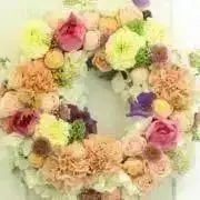 紅芋※購入前プロフィール確認くださいの画像