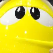 ささの画像