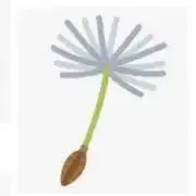 わたげ【土日祝発送不可】の画像