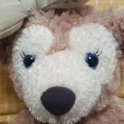 シェリーメイ☆プロフ要確認の画像