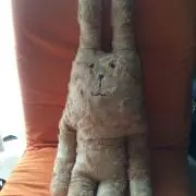 Miyoの画像
