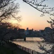 みい