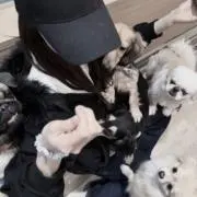 あ、の画像