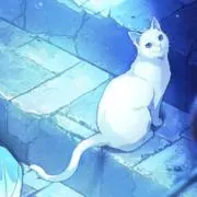 飛翠@値下げ検討〇の画像