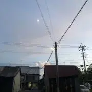 るるの画像