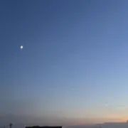 キィ☆