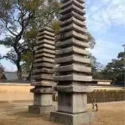 nekoさんの画像