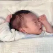 よしの画像