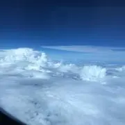 おいもの画像