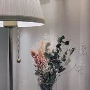 ぴーちの画像