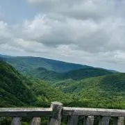 カナタの画像
