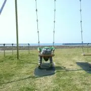 まあだこの画像