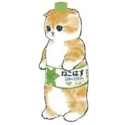 kikirara ※プロフ必読の画像