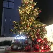 pochanの画像
