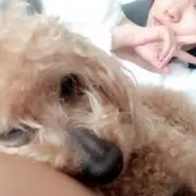 ねーちんの画像
