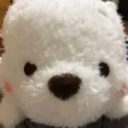 umiの画像