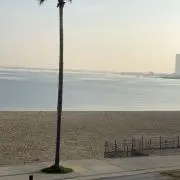 トム