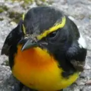 TK(✿^‿^)の画像