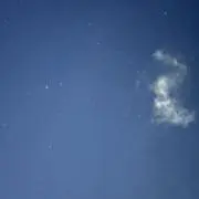 ぽんの画像