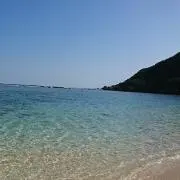 ※ひまわり※の画像