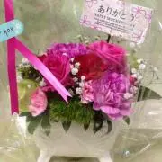 Love Doggyの画像