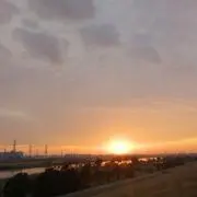 リーパパの画像