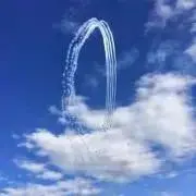 ブラキオの画像