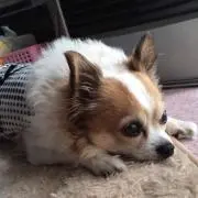 なお