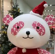 こみちゃん