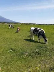 Kの画像
