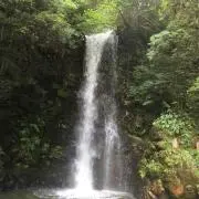 Okona✨プロフ必読お願いします✨