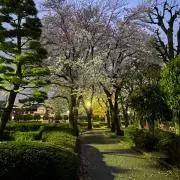 naoの画像