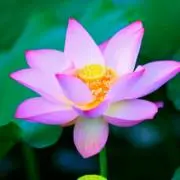 まぁ