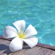 non♡