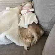 mi-mamの画像