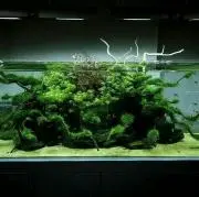 Gamada-su